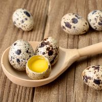од корисних сирових препелица јаја