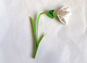 Quilling - Snowdrops17