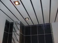 Krovni strop u kupaonici -1