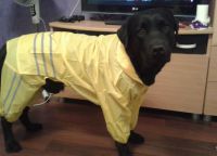 Raincoat za pse2