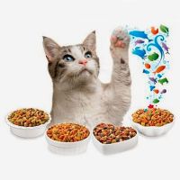 ocjena suhe hrane za mačke1