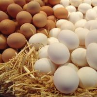 sirovih jaja na prazan želudac