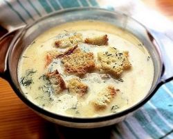 francouzská sýrová polévka s kuřecím masem
