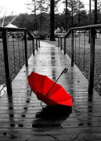 червен чадър 2