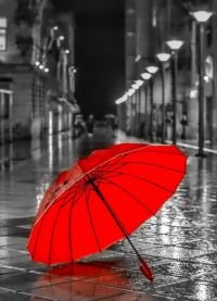 czerwony parasol 3