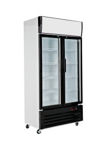 hladilnik steklenih vrat