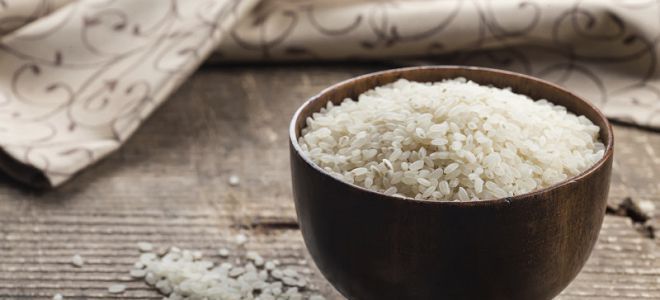 Dan za riž na dan