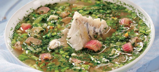 Рхубарб супа - рецепт