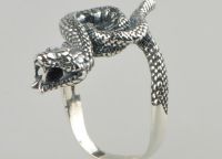 змия пръстен 4