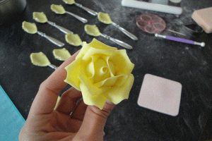 Jak vyrobit růže z masticu doma 4