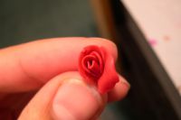 Polymerní jílovité růže15