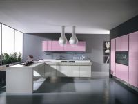2. Pink kitchen.jpg