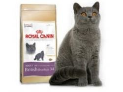 Royal Canin za mačke1