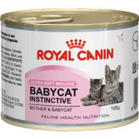 Royal Kanin pro koťata1