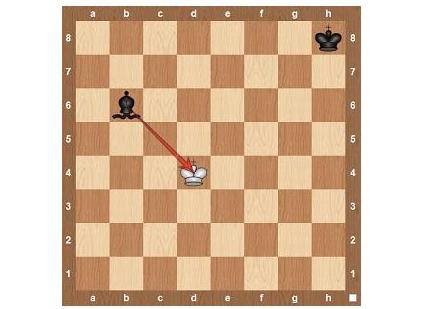 Pravila igre šah9