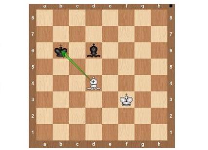 Zasady szachów11