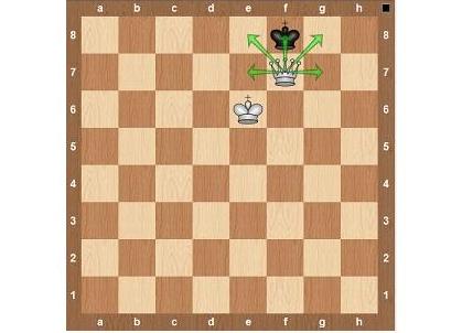 Шах правила13