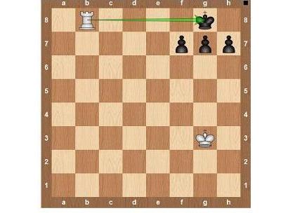 Шаховска правила14