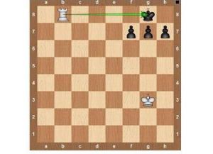 Шаховска правила15