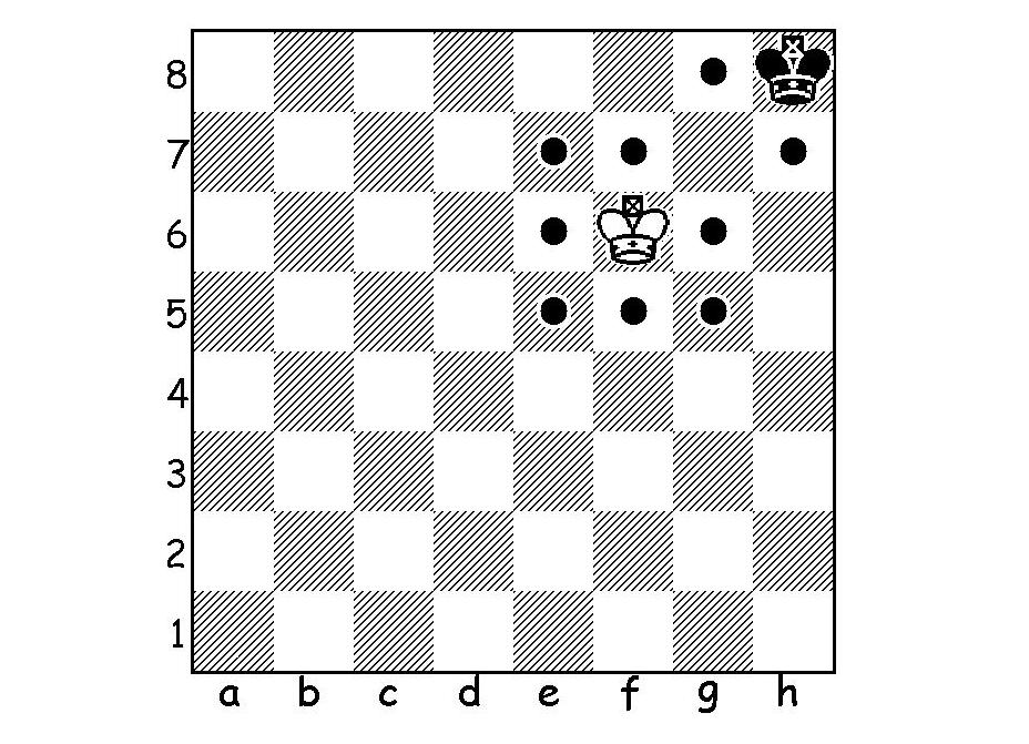 Pravidla šachu6