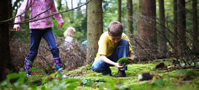 šumska pravila za djecu