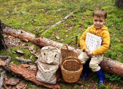 pravila ravnanja v gozdu za otroke