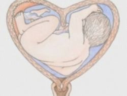 Siodłowo-macicy i ciąży