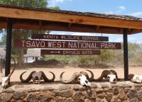 Национальный парк Tsavo West