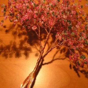 Sakura z perełek klasy mistrzowskiej 11