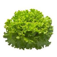 него корисне листове зелене салате