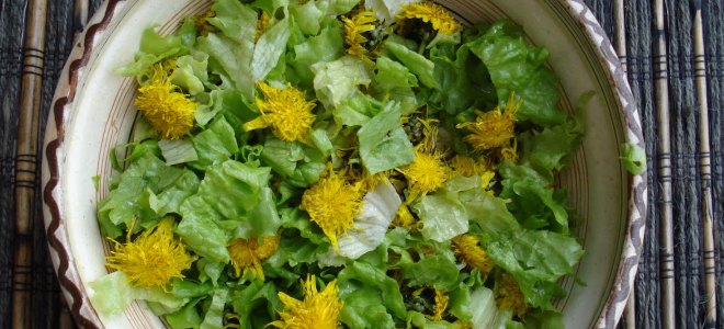 salát pampeliška květiny recept