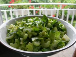 salata sa zelenim receptom od jabuka