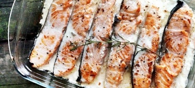 Salmon u kremastom umaku u peći - recept