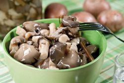 Slané houby ústřicové houby ve slaném nálevu - recept
