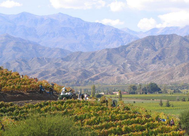 Сан-Эстебана расположен в винодельческом регионе 