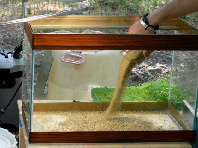 Сколько нужно песка в аквариум