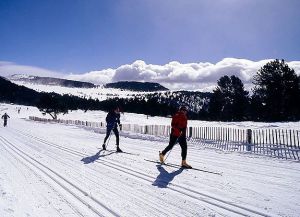 Трассы для беговых лыж