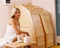 mini sauna2