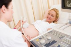 ultrazvuk screening 3 trimester přepis