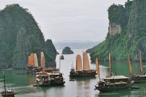 Sezóna ve Vietnamu8