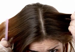 Simptomi Seborrhea lasišča