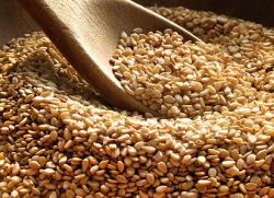 korzyści z nasion sezamu