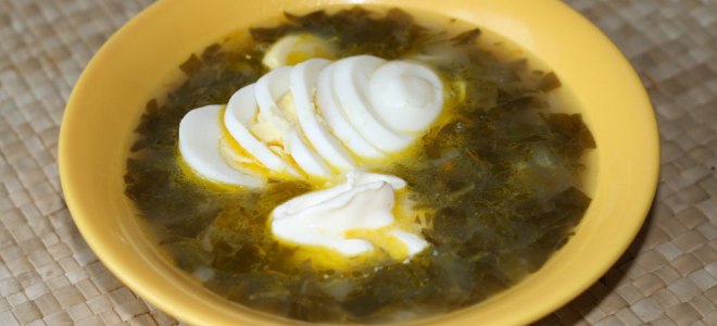 Sorrelova juha - recept