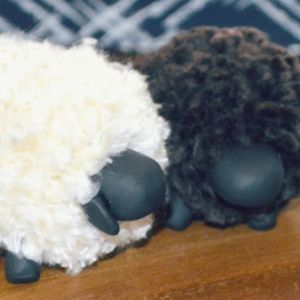 Pompon ovce z lastnimi rokami