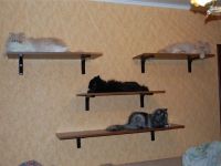Рафтове за котки на стената 6