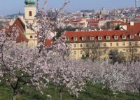 забележителности на пролетта на Прага4
