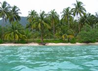 Бамбуковый остров