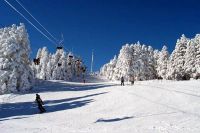 скијалиште паландокен 8