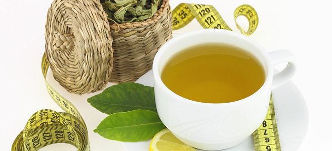 bylinný čaj zelený štíhlý