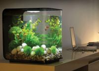 малък аквариум